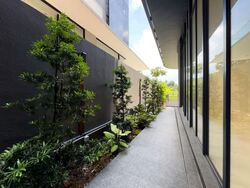 Elizabeth Drive (D23), Terrace #555702861